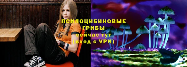 ГАЛЛЮЦИНОГЕННЫЕ ГРИБЫ Бугульма
