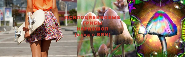 кокс Богородицк