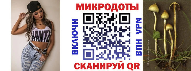 Галлюциногенные грибы прущие грибы  гидра как войти  Каменка 